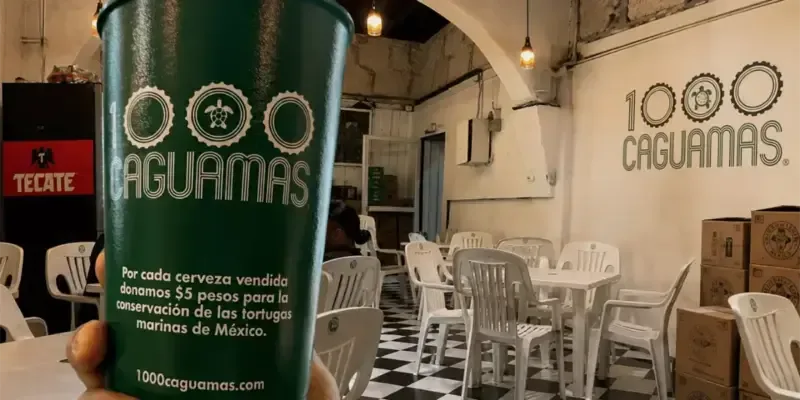 Restaurante de Monterrey apoya a tortugas marinas con 1000 caguamas 1 restaurante de monterrey apoya a tortugas marinas con 1000 caguamas